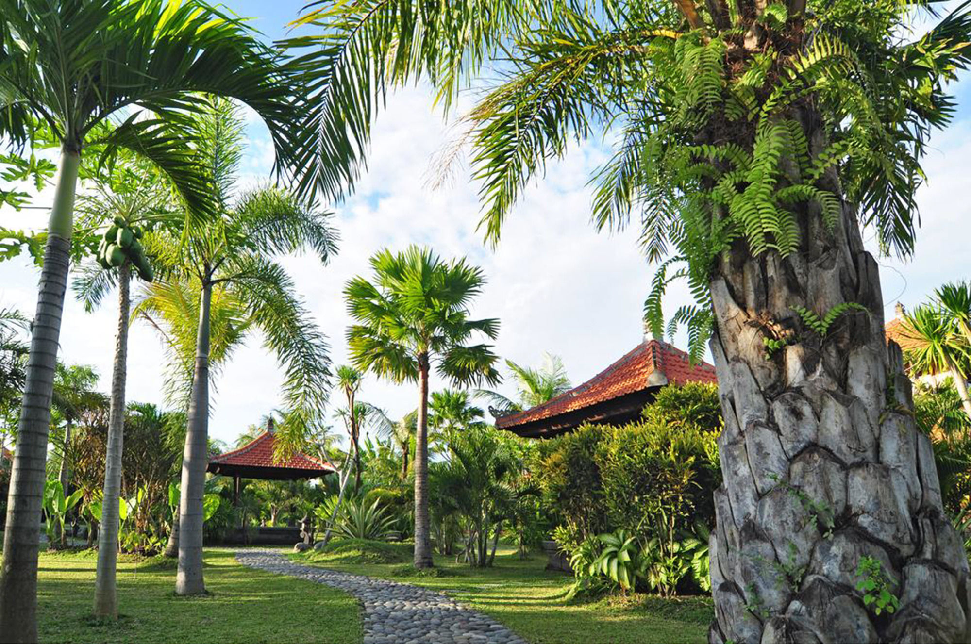 Villa Bali Aroma Exclusive Seminyak (Bali)
